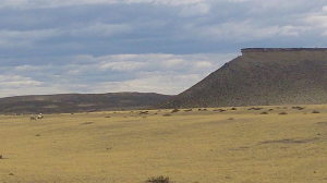 Desertificación Wikimedia Commons